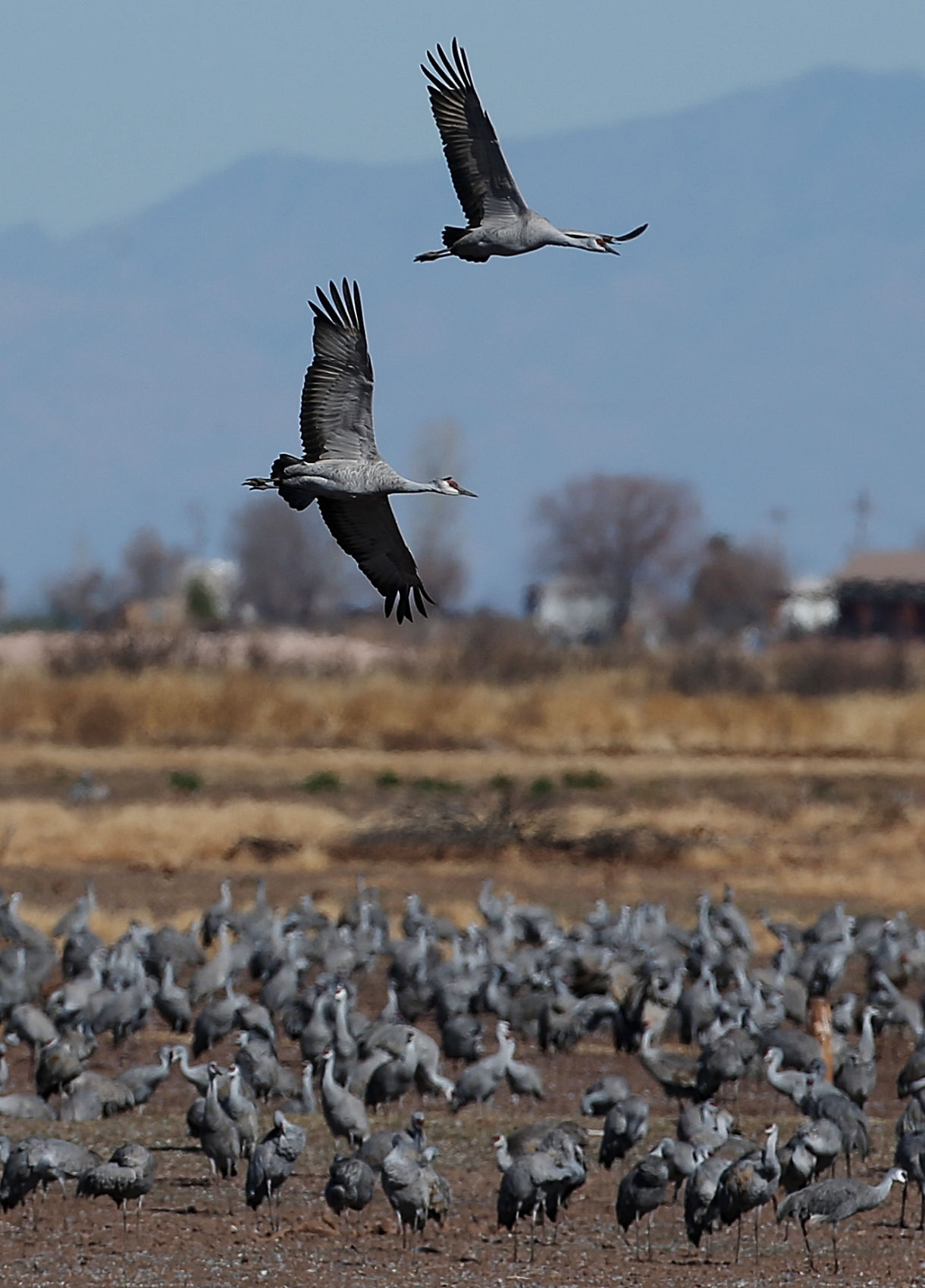 2018 Wings over Willcox